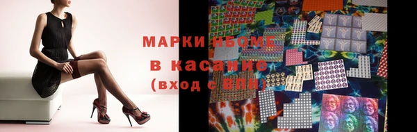 шишки Абаза