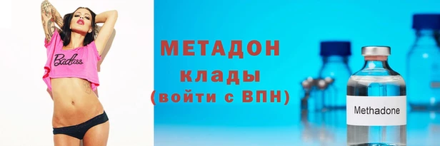 шишки Абаза