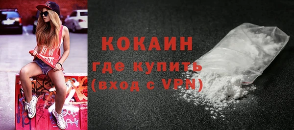 шишки Абаза