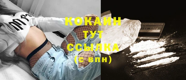 шишки Абаза