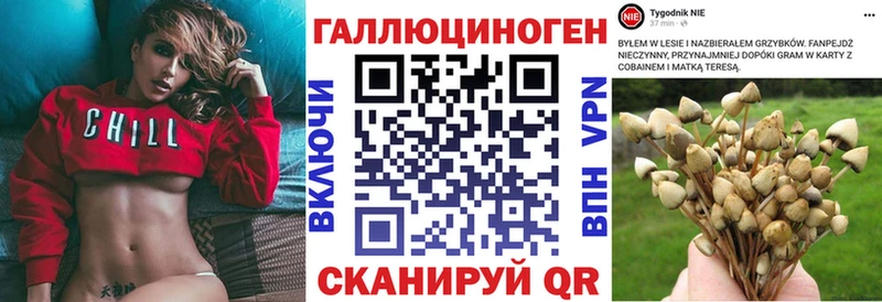 Галлюциногенные грибы GOLDEN TEACHER  Мосальск 
